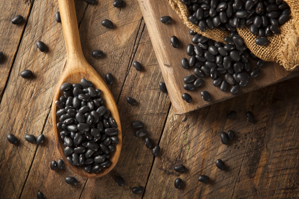 Organic Raw Dry Black Beans in a Spoon