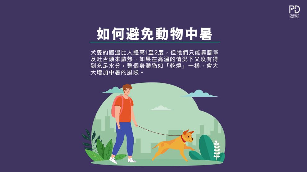 如何防止動物中暑